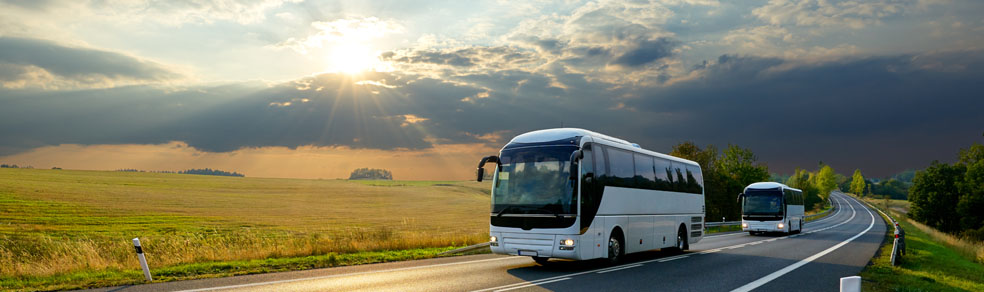 Ct Transporte escolar