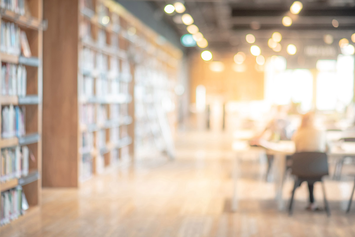 Biblioteca normativa 2