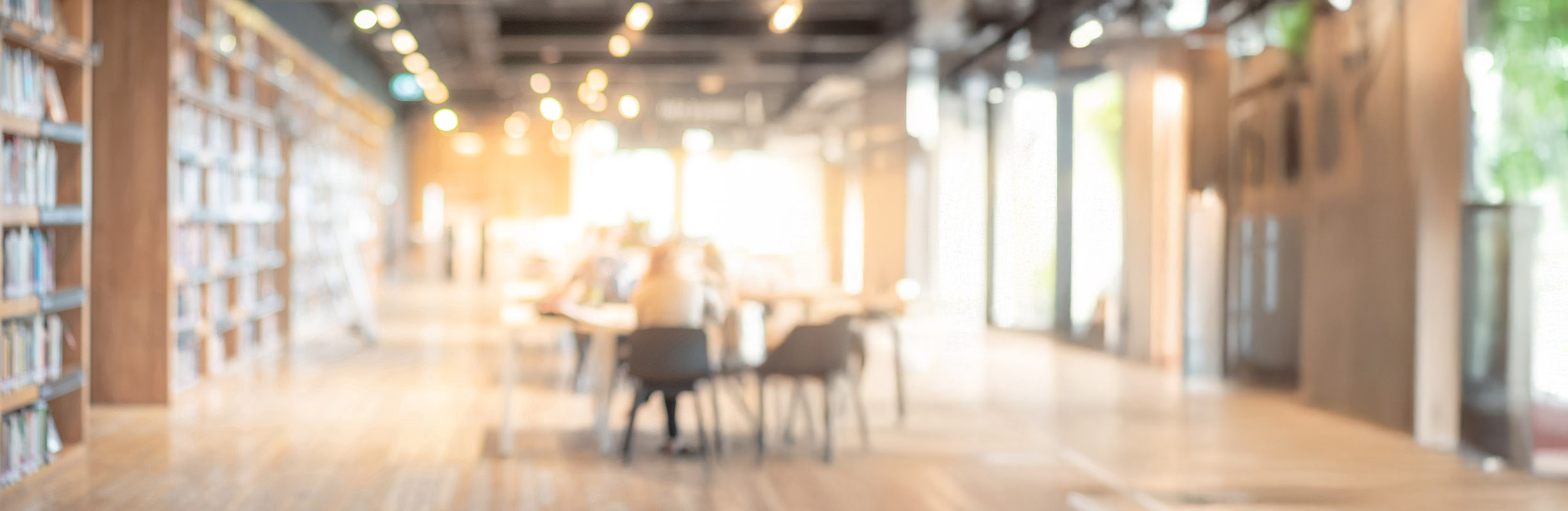 Biblioteca normativa 3