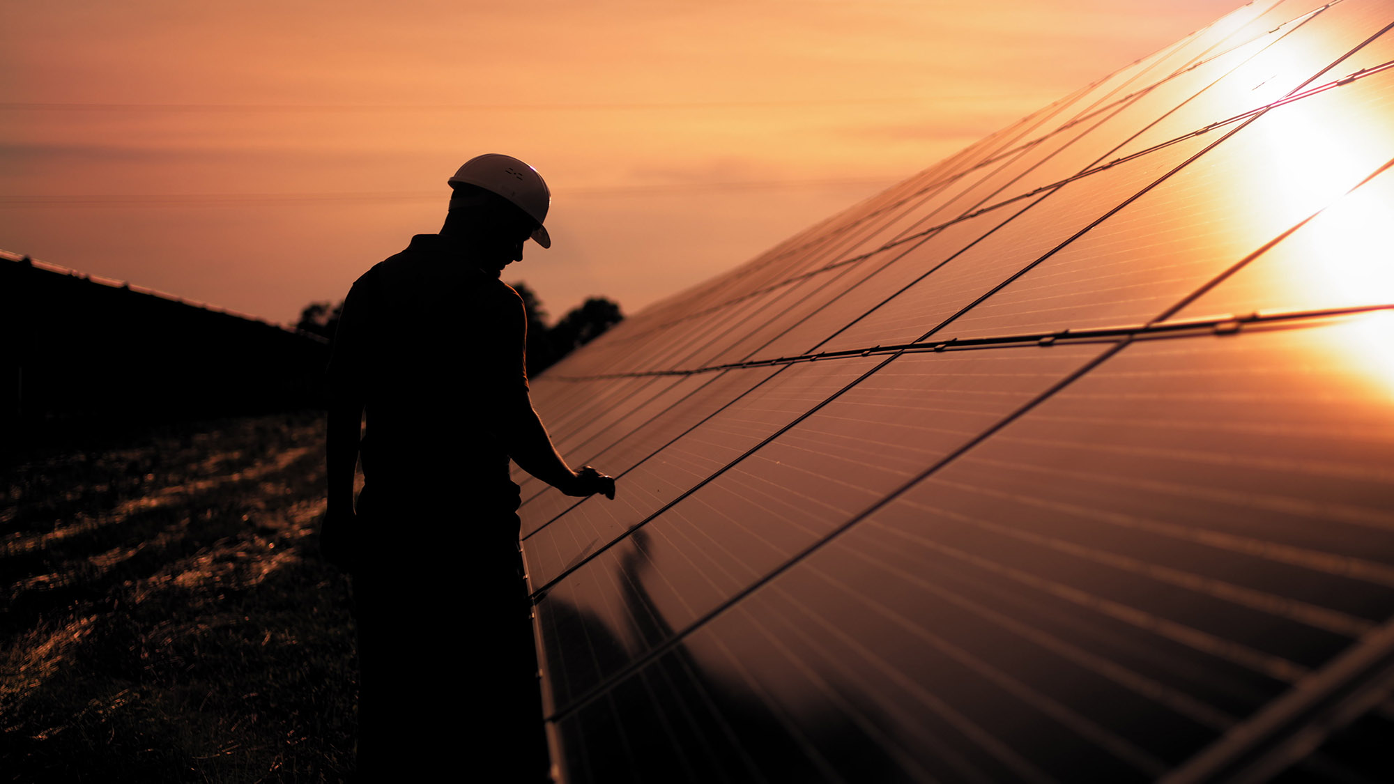 Técnico revisando placas solares