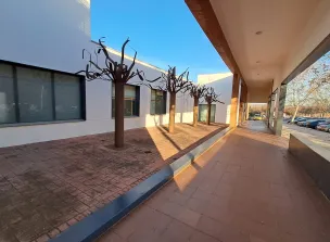 Entreada CAEM Toledo