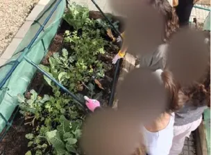 PIE CEIP Crecemos Juntos huerto