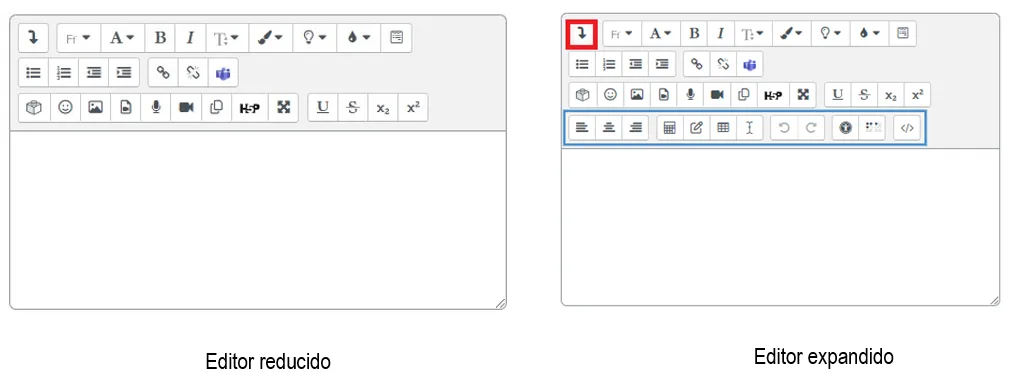 28. ¿Qué funcionalidades tiene el editor de texto? Imagen 1