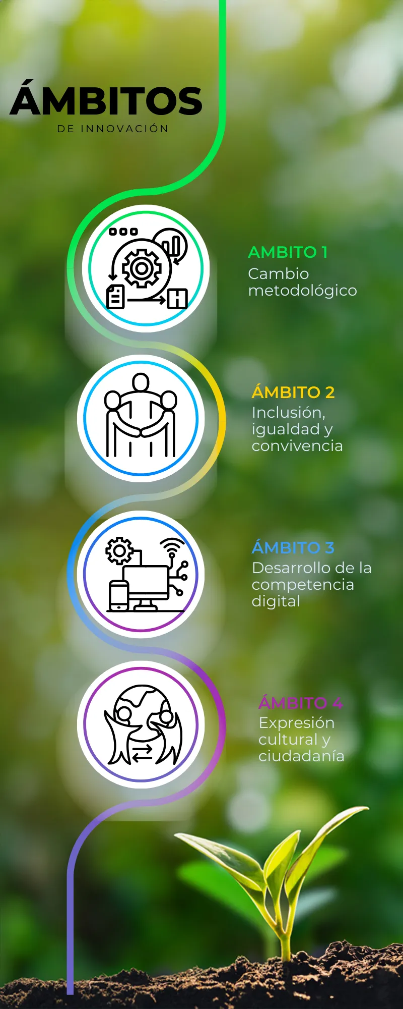 Ámbitos del proyecto PIE 1